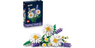 Amazon: LEGO® Botanicals Marguerites (11508) à 9,59€ (au lieu de 14,99€)