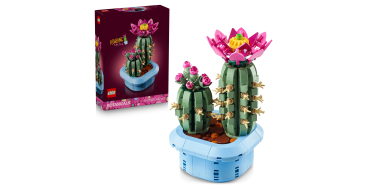 Amazon: LEGO® Botanicals Cactus Fleuri (11509) à 18,39€ (au lieu de 24,26€)