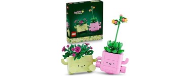 Amazon: LEGO® Botanicals Petites Plantes Dansantes (11506) à 11,99€ (au lieu de 19,99€)