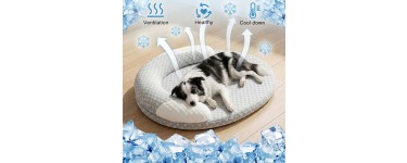 JoyBuy: Hovicaed Lit pour animaux rafraîchissant d'été à 17,99€ (au lieu de 33,29€)