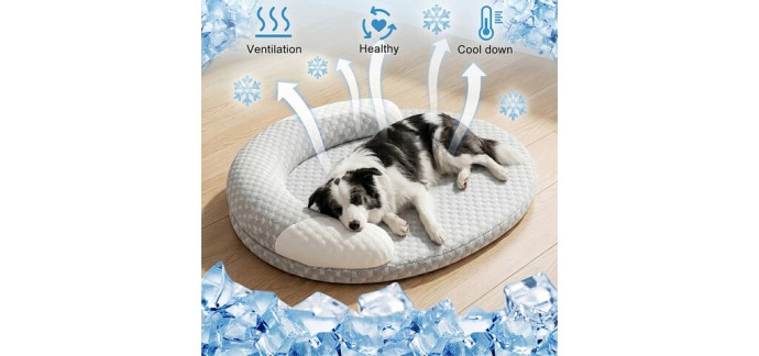 JoyBuy: Hovicaed Lit pour animaux rafraîchissant d'été à 17,99€ (au lieu de 33,29€)