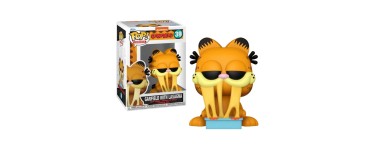 Amazon: Funko Pop Garfield Avec Lasagne (Figurine) à 8,7€ (au lieu de 15,99€)
