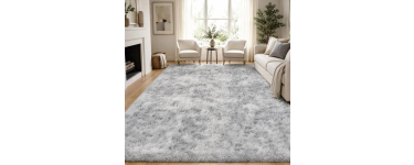Cdiscount: Tapis Salon Shaggy 160 x 230 cm - Poils longs, Gris clair à 26,99€ (au lieu de 49,99€)