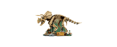 Amazon: LEGO 77985 Fossiles de Dinosaure Tricératops à 71,99€ (au lieu de 99,99€)