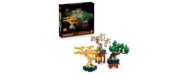 Amazon: LEGO® Botanicals Mini Bonsaï (10373) à 48,72€ (au lieu de 56,01€)