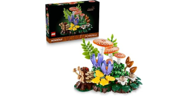 Amazon: LEGO® Botanicals Les Champignons des Bois (11505) à 56,99€ (au lieu de 63,50€)