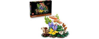 Amazon: LEGO® Botanicals Les Champignons des Bois (11505) à 56,99€ (au lieu de 63,50€)
