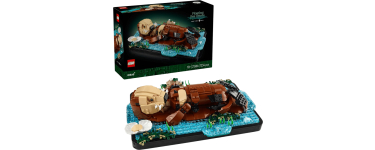 Amazon: LEGO 21366 Ideas Les Loutres Câlines à 74,99€ (au lieu de 109,99€)