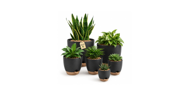 Amazon: Lot de 6 Pots de Plantes d'Intérieur Bamworld - Noir, Drainage, Auto-irrigants à 23,74€