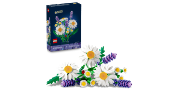 Amazon: LEGO® Botanicals Marguerites (11508) à 8,79€ (au lieu de 10,90€)
