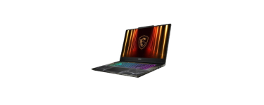JoyBuy: MSI Cyborg 17 B2RWFKG-001FR - 17,3" FHD, Core 7 240H, RTX 5060, 16 Go RAM, 512 Go SSD - PC portable