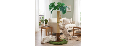 Amazon: Arbre à chat d'intérieur 90 cm avec corde en sisal à 20,99€ (au lieu de 51,75€)