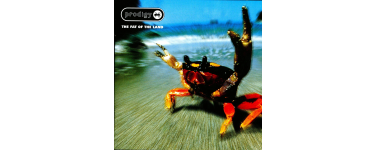 Amazon: Vinyle Prodigy - The Fat of the Land LP à 27,99€ (au lieu de 29,99€)