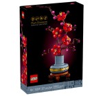 Carrefour: LEGO 10369 Les Fleurs de Prunier (LEGO Icons) à 19,59€ (au lieu de 29,99€)