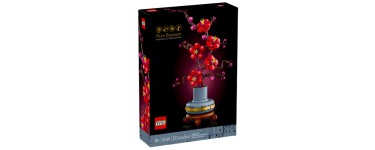 Carrefour: LEGO 10369 Les Fleurs de Prunier (LEGO Icons) à 19,59€ (au lieu de 29,99€)
