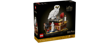 Amazon: LEGO 76466 Harry Potter L’école des sorciers Collector à 112,49€ (au lieu de 159,99€)