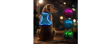 Amazon: Harnais lumineux LED rechargeable pour chien - Taille S à XL, 3 modes d'éclairage à 9,34€