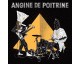 Amazon: Disque Vinyle LP Angine de poitrine Vol 2 à 27,19€ (au lieu de 31,9€)