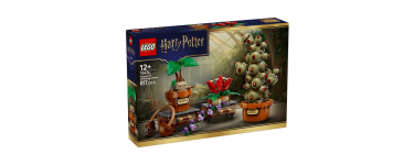 Amazon: LEGO 76474 Cours de Botanique de Poudlard (LEGO) à 69,99€ (au lieu de 99,99€)