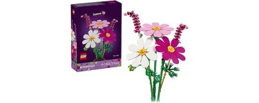 Amazon: LEGO® Botanicals Les Cosmos (11514) à 11,5€ (au lieu de 14,99€)