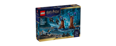 E.Leclerc: LEGO 76475 La Forêt interdite Expecto Patronum (Jouet) à 23,99€ (au lieu de 29,99€)