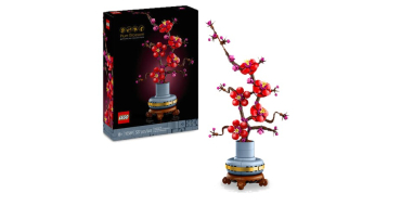 JoyBuy: LEGO® Icons Botanicals Fleur de Prunier (10369) à 21,99€ (au lieu de 29,99€)