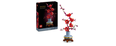 JoyBuy: LEGO® Icons Botanicals Fleur de Prunier (10369) à 21,99€ (au lieu de 29,99€)
