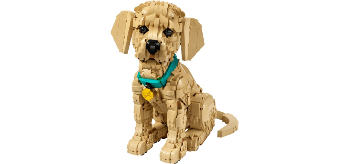 Carrefour: LEGO 11384 Golden Retriever (LEGO) à 80,74€ (au lieu de 139,99€)