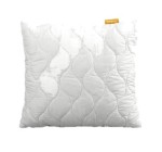 LIDL: EMMA Oreiller Aloe Vera 60x60 cm - Fibre creuse 3D à 9,99€ (au lieu de 14,99€)