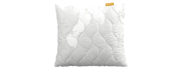 LIDL: EMMA Oreiller Aloe Vera 60x60 cm - Fibre creuse 3D à 9,99€ (au lieu de 14,99€)