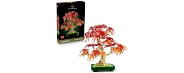 Amazon: LEGO 10348 Bonsaï Érable Japonais à 36,79€ (au lieu de 59,99€)